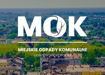 MOK zbiera deklaracje