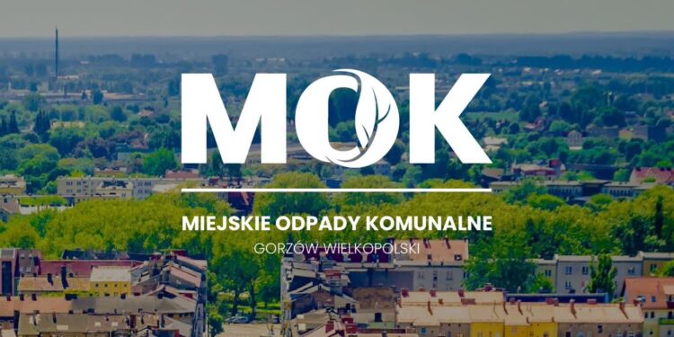 MOK zbiera deklaracje