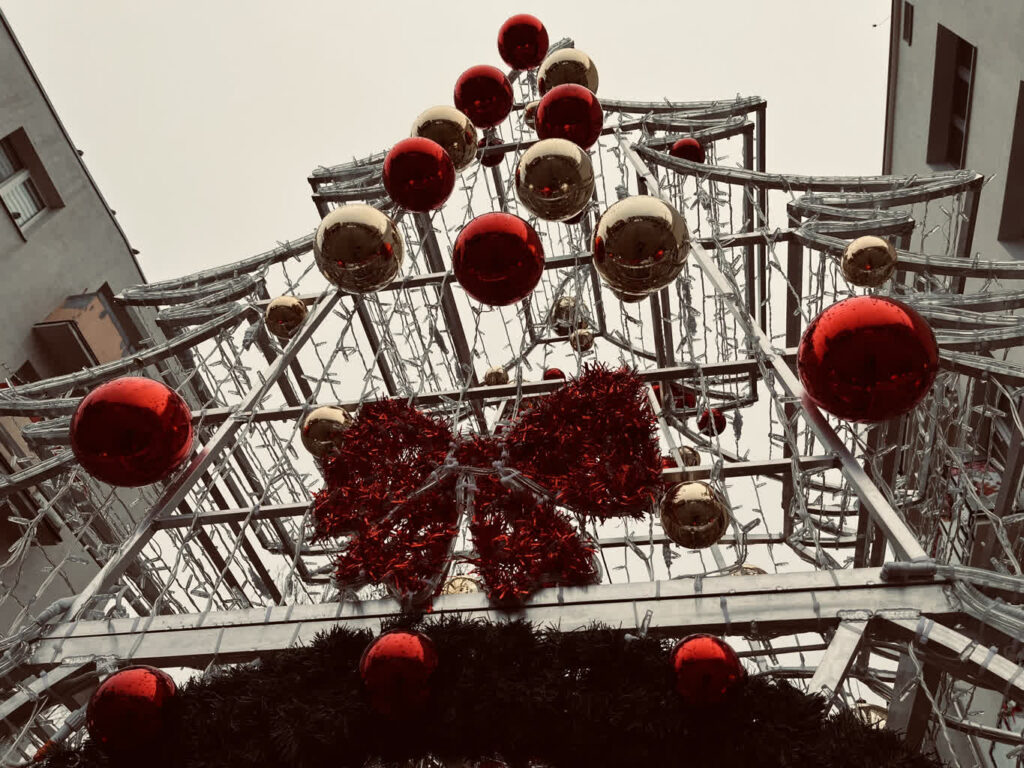 Fot. Piotr Wiśniewski