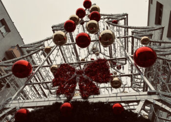 Fot. Piotr Wiśniewski