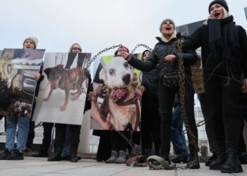 Ulicami Warszawy przeszedł „Wielki Marsz dla Zwierząt”