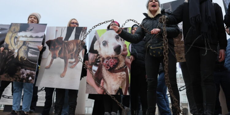 Ulicami Warszawy przeszedł „Wielki Marsz dla Zwierząt”