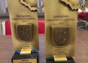 Dwie wygrane dla Kłodawy