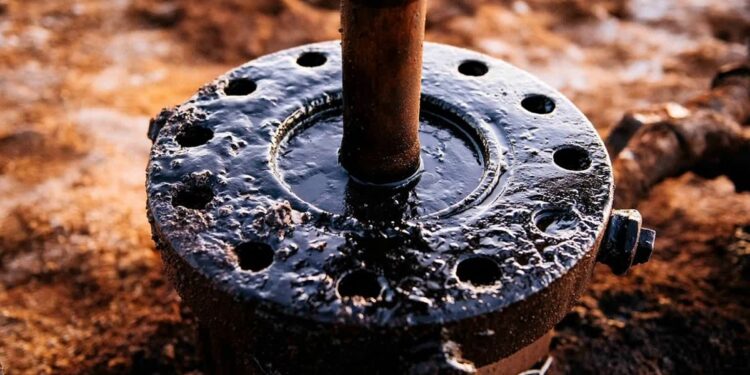 Niemcy. Duży wyciek ropy przy granicy z Polską