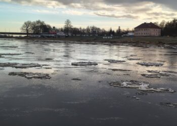 Śryż na Warcie w Gorzowie