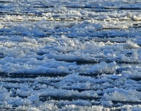 fot: fbSzymon Machnowski