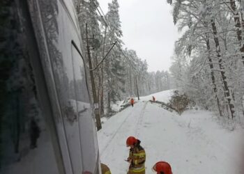 Odległość drzew od linii kolejowych zostanie wydłużona