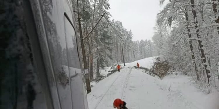 Odległość drzew od linii kolejowych zostanie wydłużona