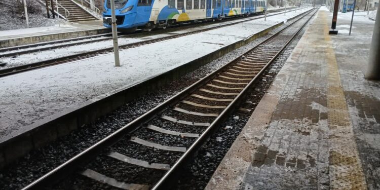 fot. Przemysław Kamiński