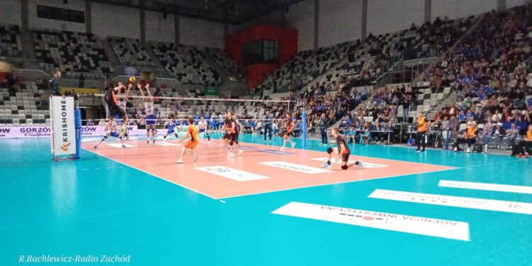 Stilon chce zatrzymać lwowskie Nietoperze