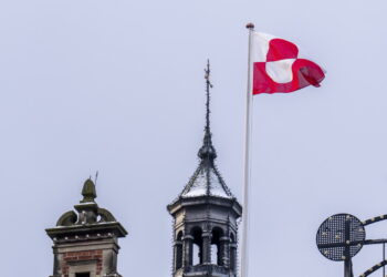 PiS i KO o Grenlandii