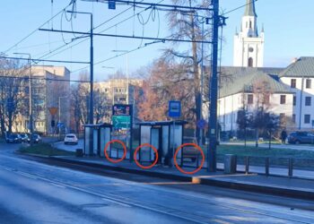 fot. słuchaczka Laura