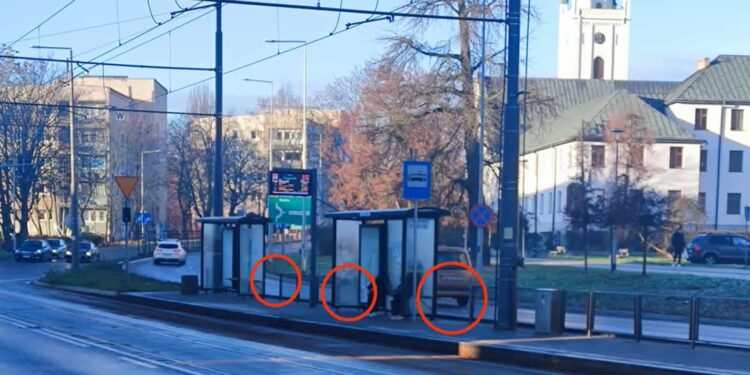 fot. słuchaczka Laura