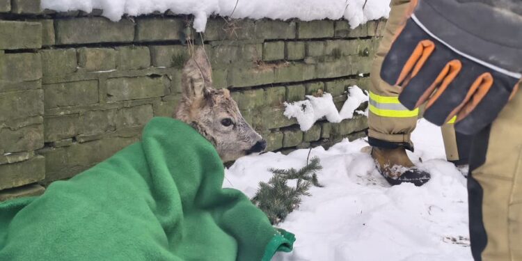 Sarenka mogła zamarznąć. Pomogli mieszkańcy i służby