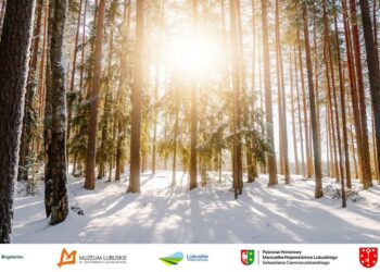 Spacerów będzie więcej. Najbliższy jeszcze w styczniu