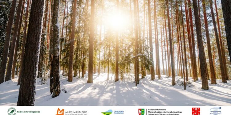 Spacerów będzie więcej. Najbliższy jeszcze w styczniu