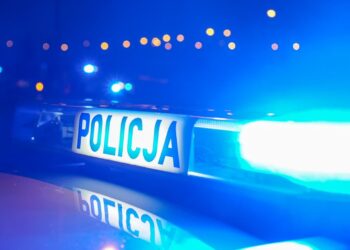 Koniec śledztwa ws. dwóch zabójstw w Lipianach