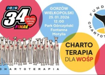 Przyjdź na spacer z psem i zagraj dla WOŚP