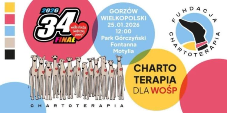 Przyjdź na spacer z psem i zagraj dla WOŚP