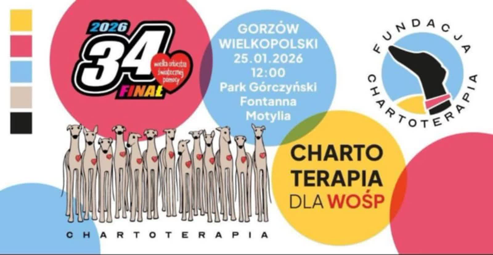 Przyjdź na spacer z psem i zagraj dla WOŚP