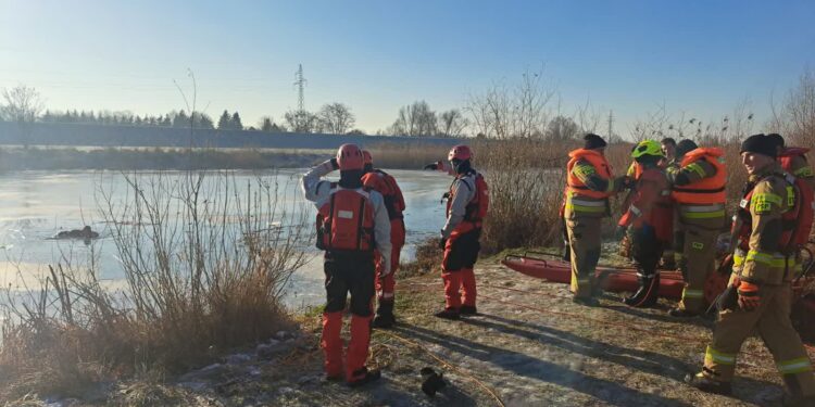 Co zrobić, gdy pęknie lód? Gorzowscy strażacy ćwiczyli akcję ratunkowe