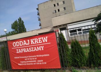 Bezpłatna komunikacja miejska dla większej grupy krwiodawców