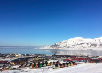 Fot. zródło: flickr