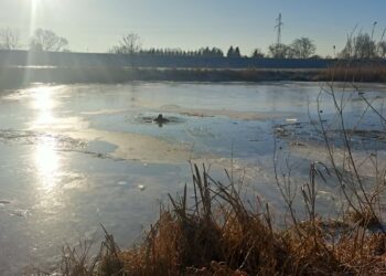 Jak pomóc osobie, pod którą załamał się lód? Strażacy podpowiadają