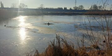 Jak pomóc osobie, pod którą załamał się lód? Strażacy podpowiadają