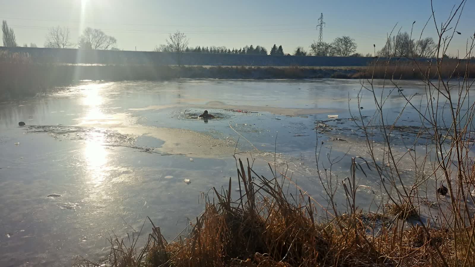 Jak pomóc osobie, pod którą załamał się lód? Strażacy podpowiadają