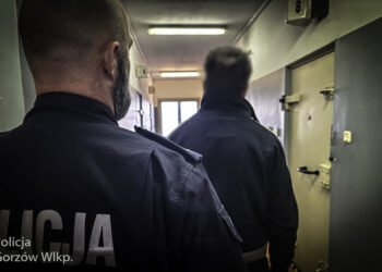 Jedno włamanie to za mało? Powtórka skończyła się wpadką