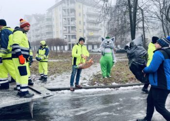Gorzowianie oddają choinki dla alpak