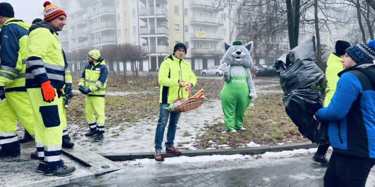 Gorzowianie oddają choinki dla alpak