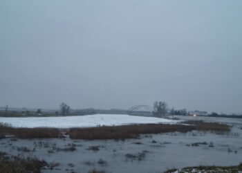 Lód na Warcie. Służby uspokajają