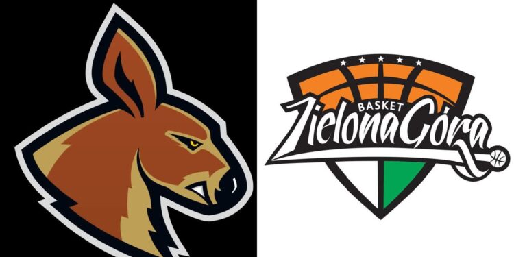 Kongoory wygrały we Wrocławiu, teraz kolej  na Zastal