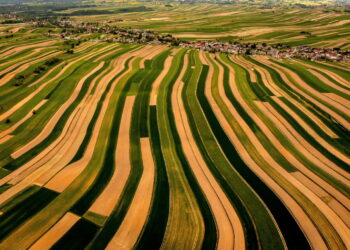 Minister rolnictwa o nowych ustawach