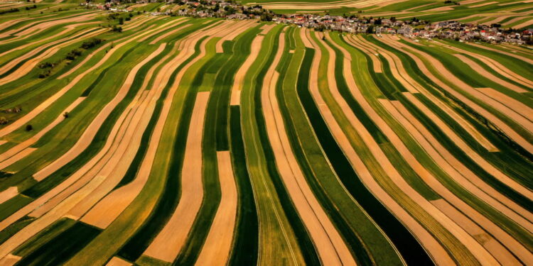 Minister rolnictwa o nowych ustawach