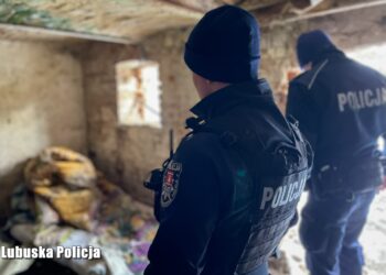 Policjanci szukają bezdomnych. Mróz to często wyrok