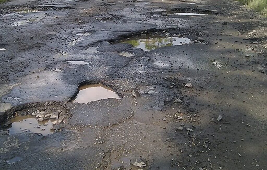 Paweł Kuźniar Jojo / www.commons.wikimedia.org