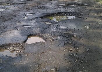 Paweł Kuźniar Jojo / www.commons.wikimedia.org