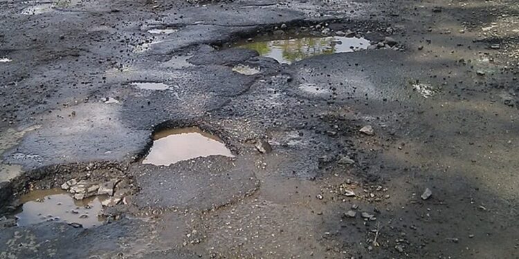 Paweł Kuźniar Jojo / www.commons.wikimedia.org