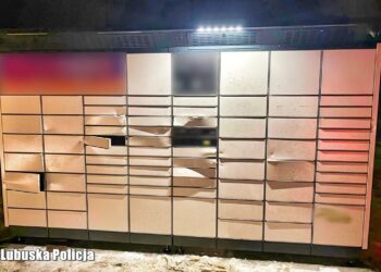 Włamali się do paczkomatu, zniszczyli 30 pustych skrytek. Trzy osoby z zarzutami