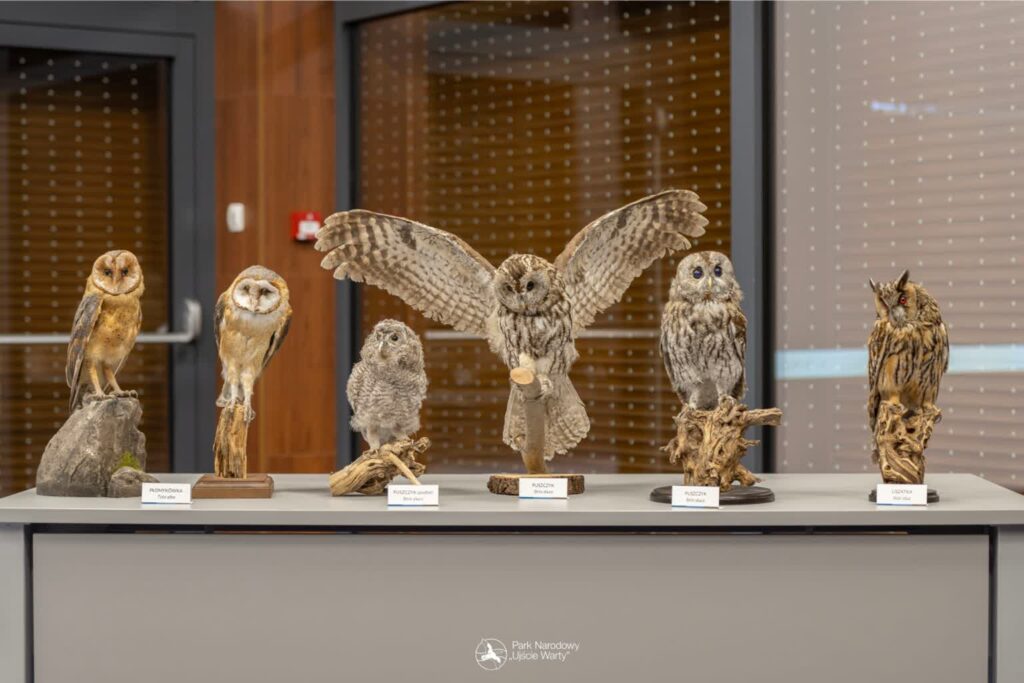 Park Narodowy "Ujście Warty" / www.facebook.com