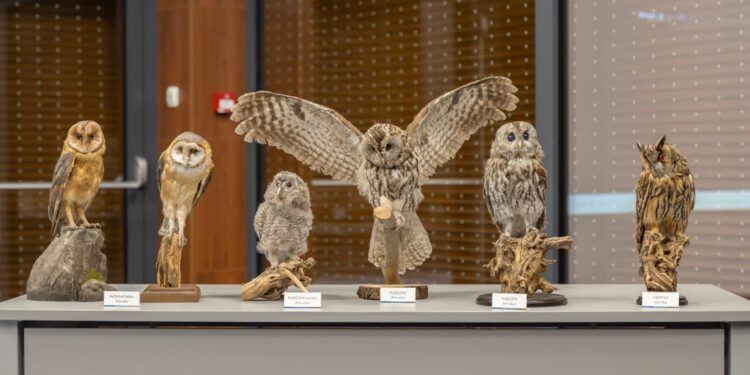 Park Narodowy "Ujście Warty" / www.facebook.com