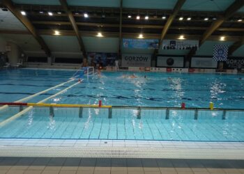 Pewne zwycięstwo gorzowskich wartepolistów