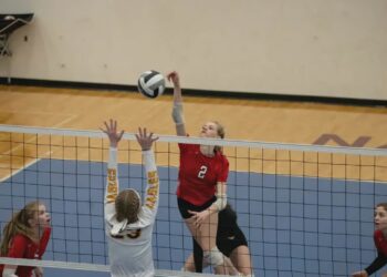 Ilustracja poglądowa / Canva