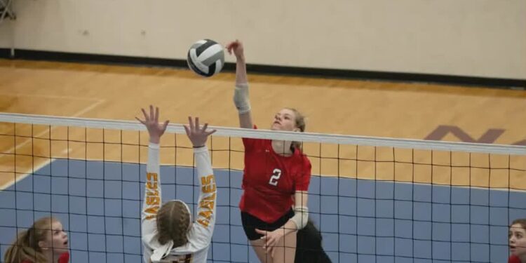 Ilustracja poglądowa / Canva