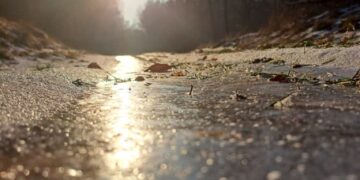 FBNadleśnictwo Kłodawa