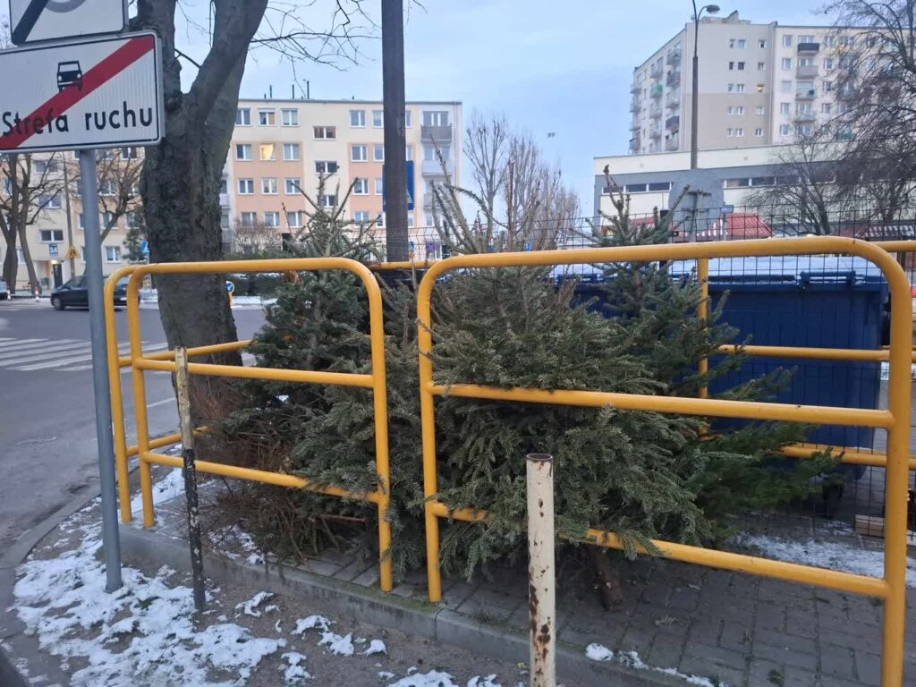 fot. RG/Elżbieta Kobelak/archiwum