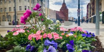 fot. archiwum/ UM Gorzów